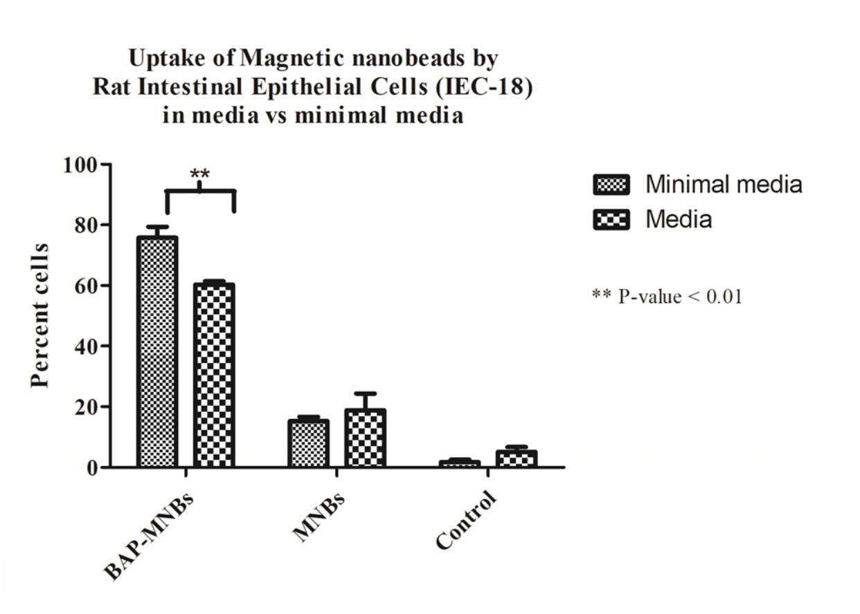 Chart showing uptake of Magnetic nanobeads IEC-18